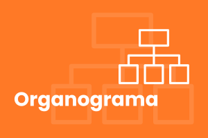 Arte com fundo laranja apresenta imagem de organograma